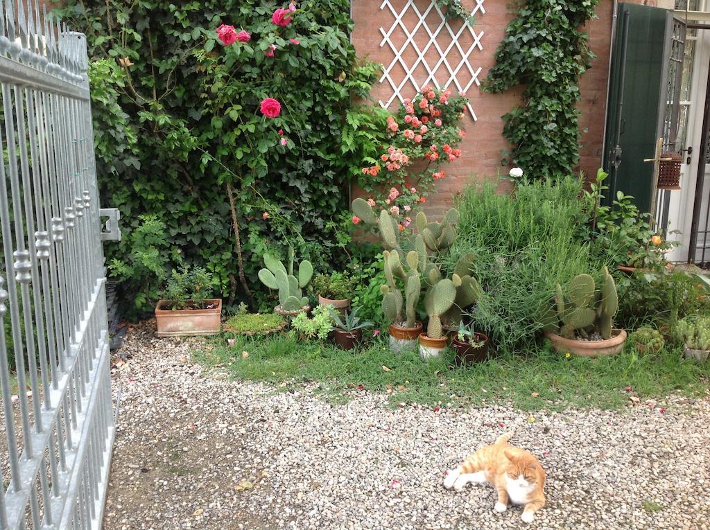 Madonna della Provvidenza Al Porretto Bed & Breakfast エクステリア 写真