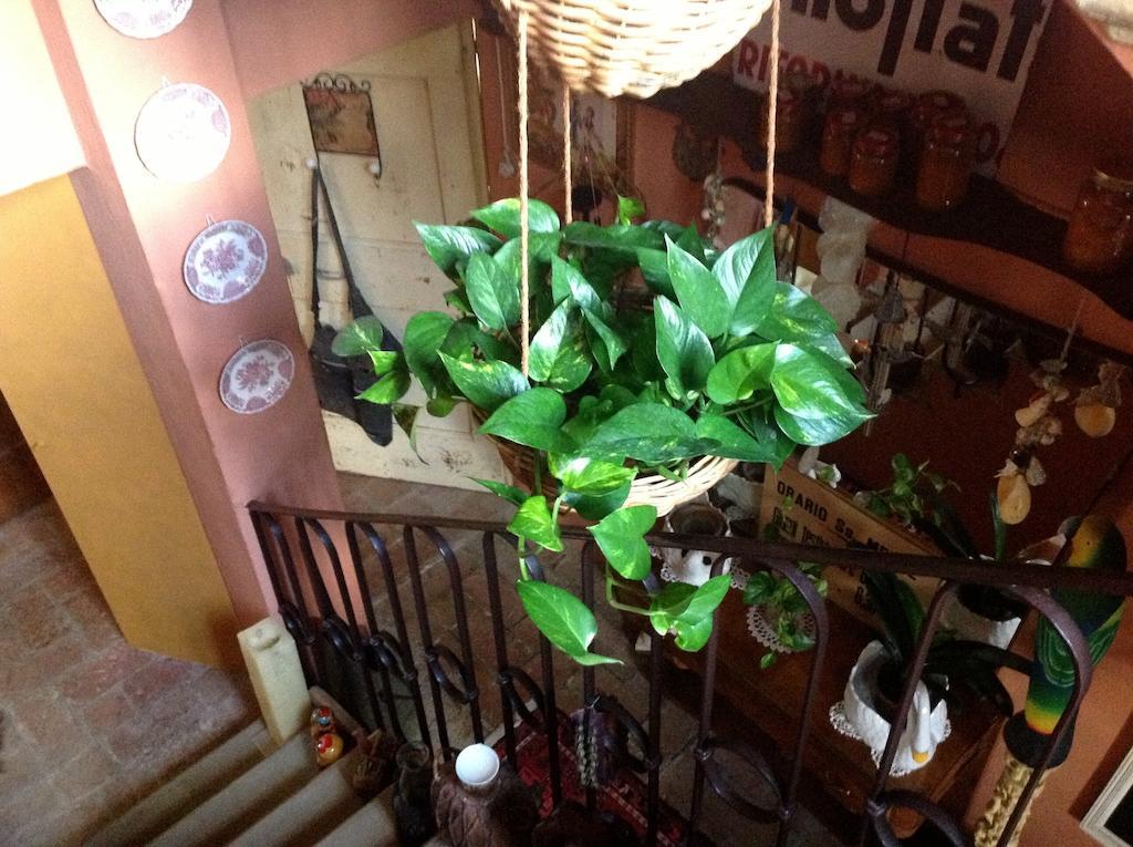 Madonna della Provvidenza Al Porretto Bed & Breakfast エクステリア 写真